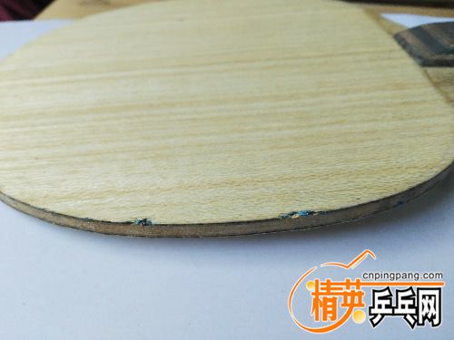 IMG_20171031_090847.jpg