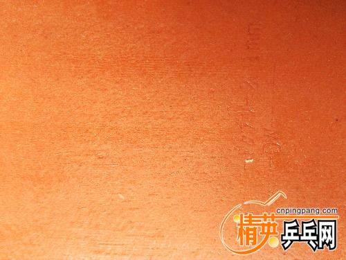 IMG_20171031_091251.jpg