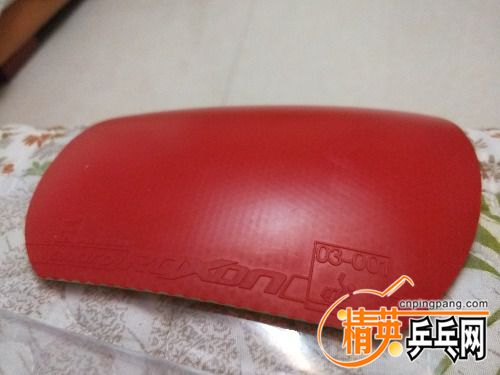 IMG20171103190628.jpg