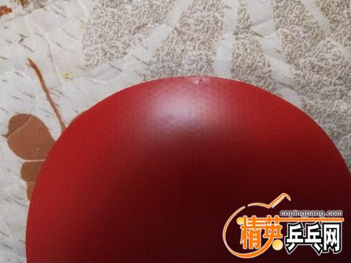 IMG20171103190649.jpg
