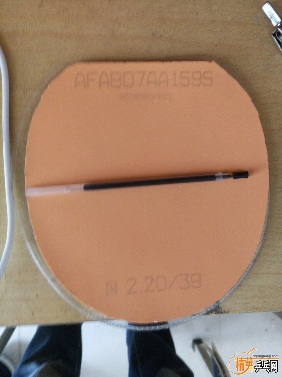 402120243626664.jpg