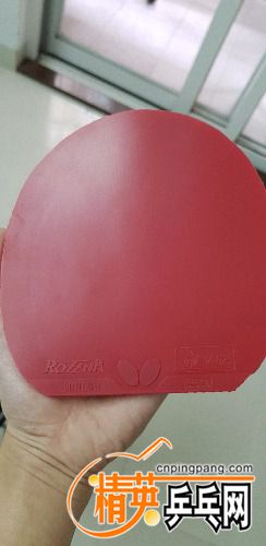 20171106_145250.jpg