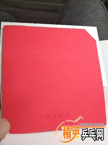 IMG_20171105_110720.jpg