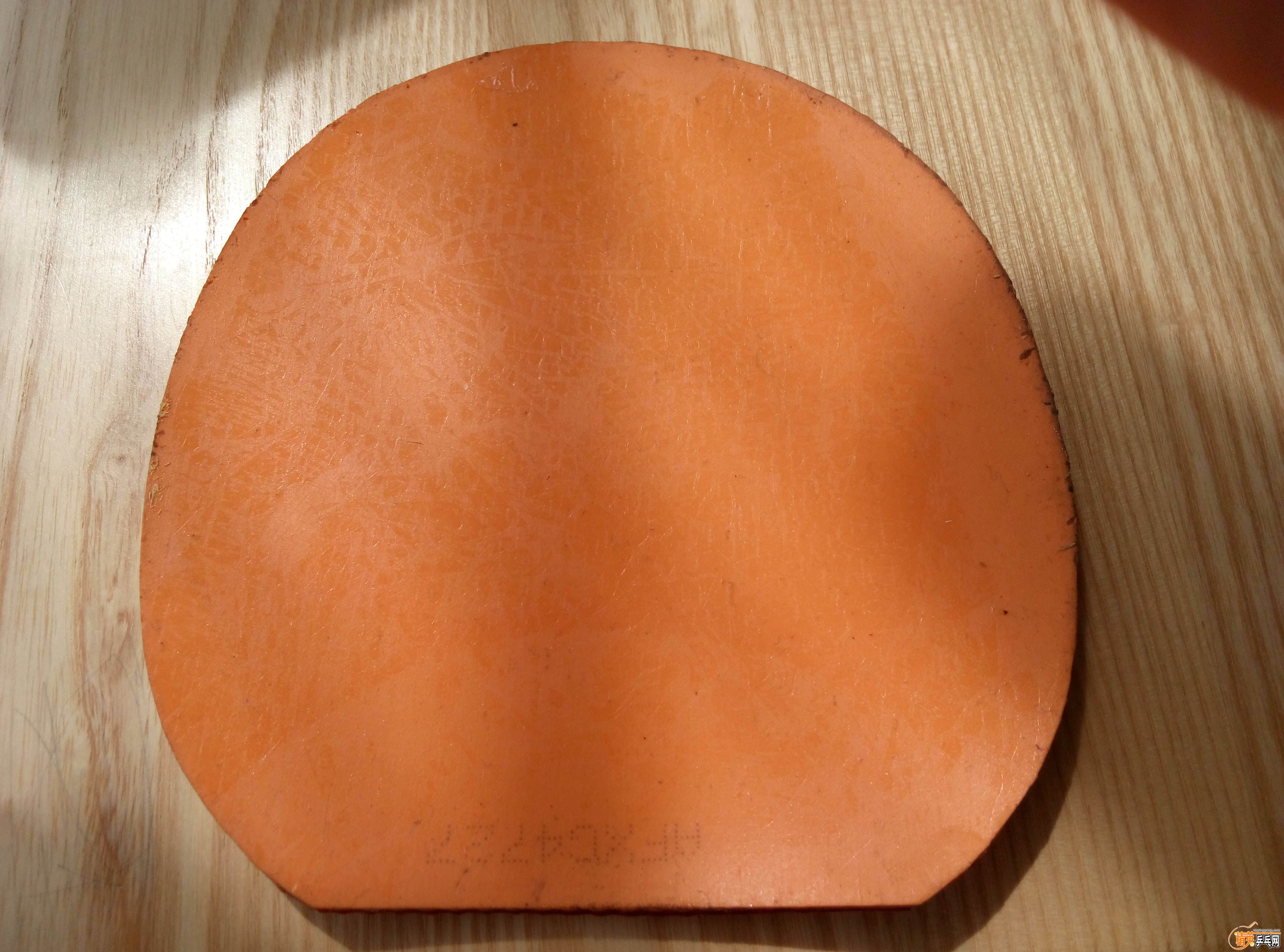 P71107-125008.jpg