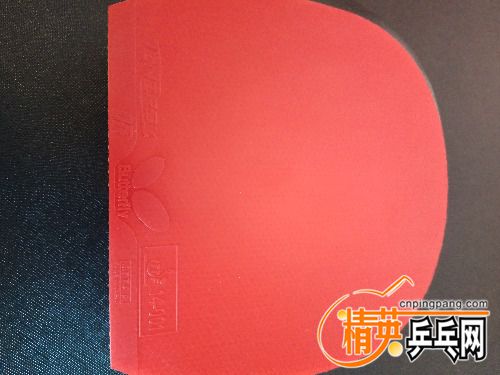 IMG_20171103_075148.jpg