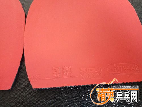 IMG_20171103_075247.jpg