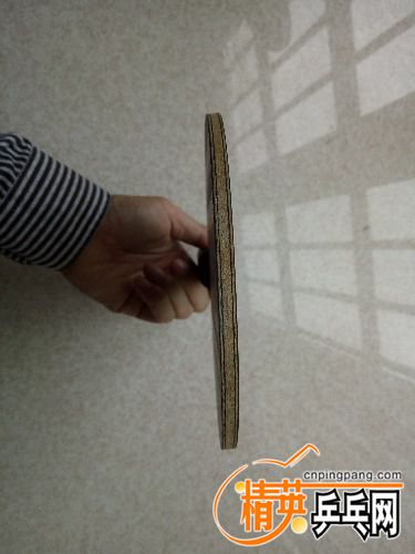 IMG20171112150425.jpg