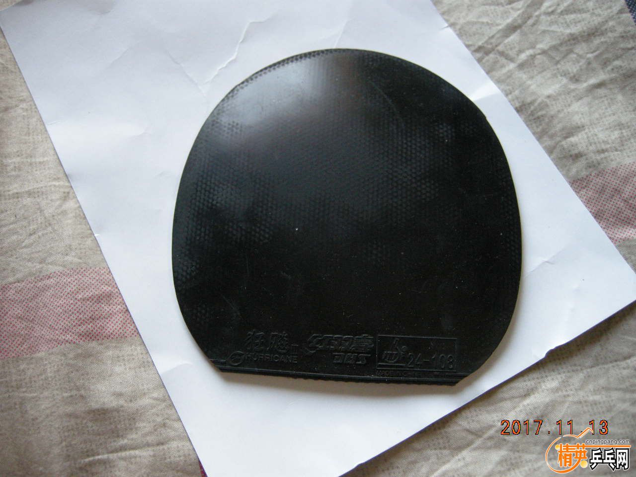 DSCN9238.JPG
