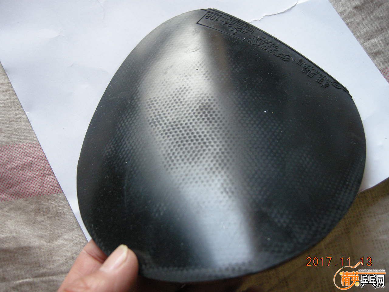 DSCN9240.JPG