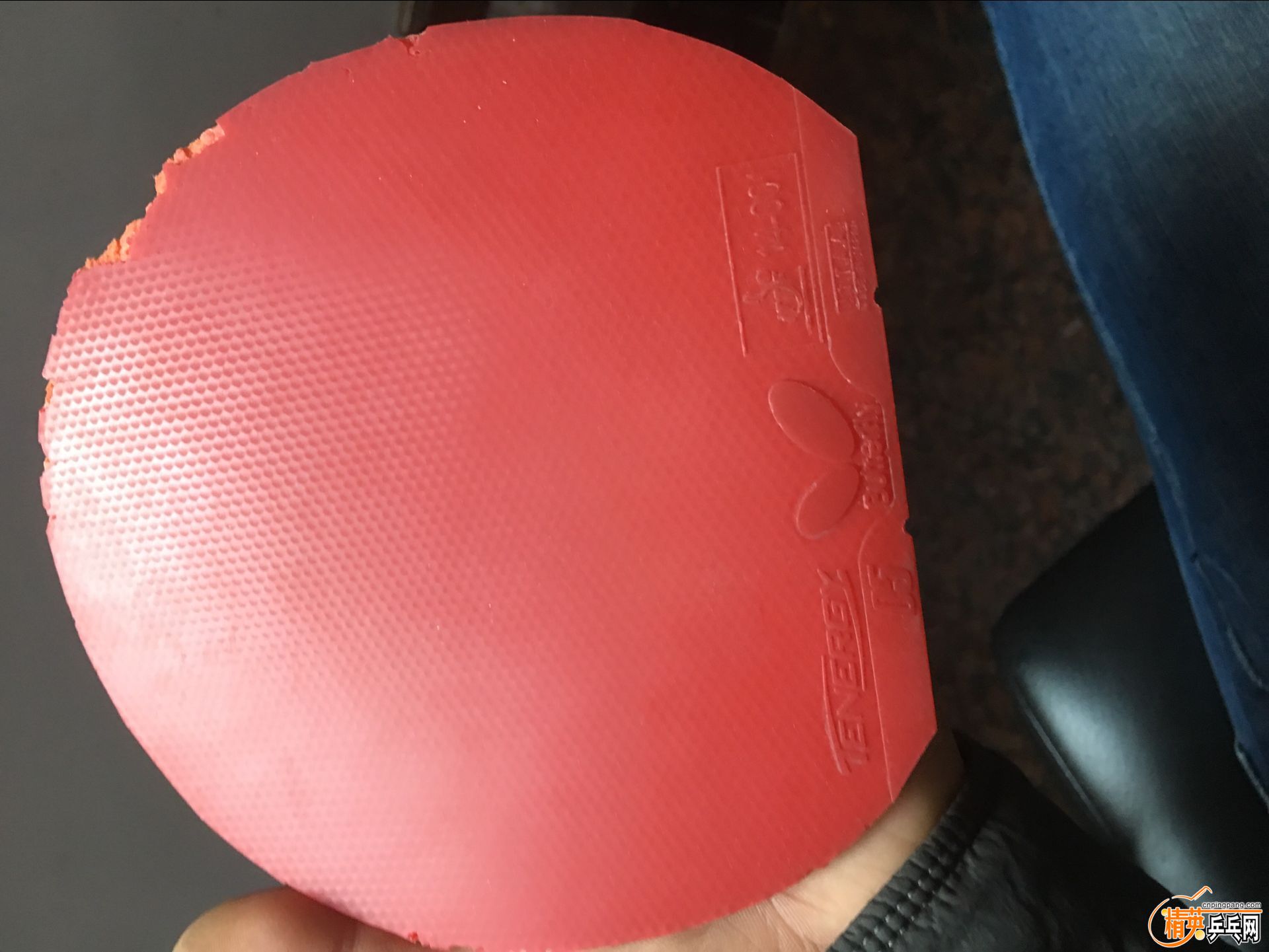 090448sqtt00dnq70pn0m1.jpg