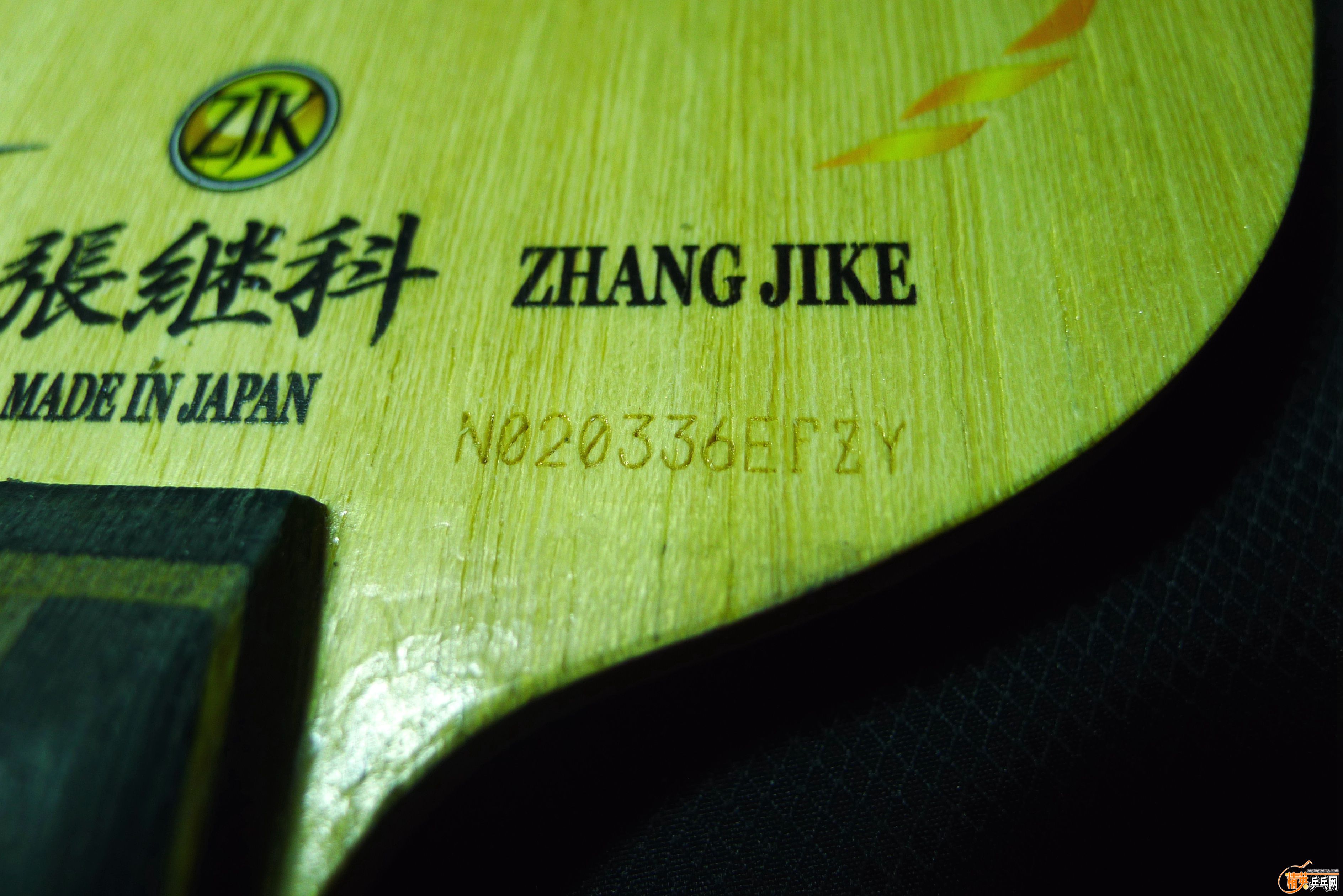 P1020628.jpg