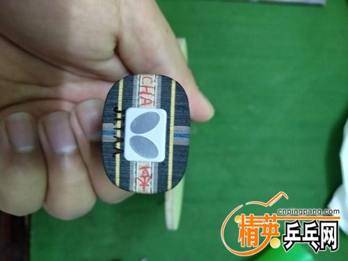 IMG_20171120_080642_HHT.jpg
