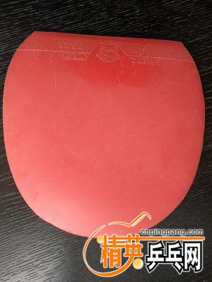 IMG_20171119_123113.jpg