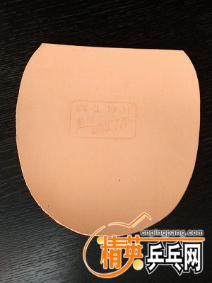 IMG_20171119_123118.jpg