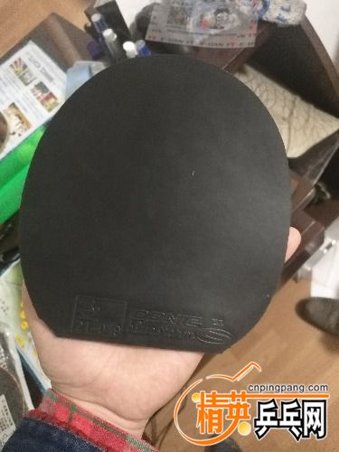 IMG_20171120_224647.jpg