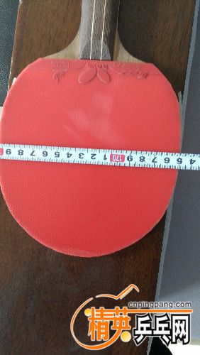 IMG_20171121_103923.jpg