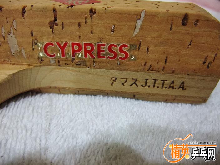 03-BTY CYPRESSһt-02.JPG