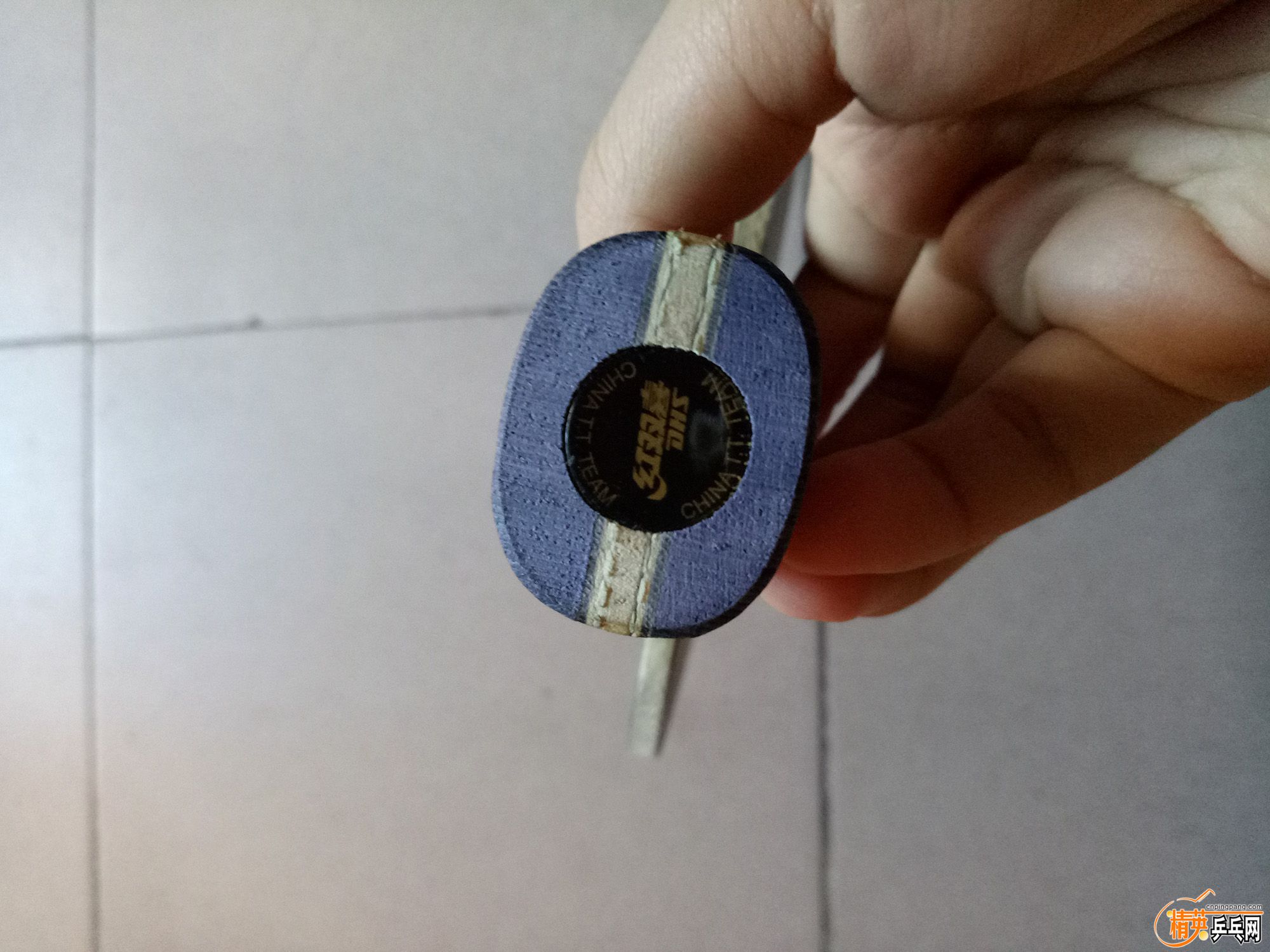 IMG20171124141311.jpg
