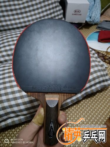 IMG_20171103_225223.jpg