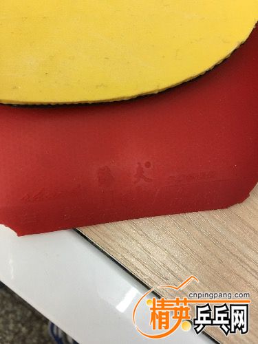 23904572-9ED5-4735-978C-F1EC60F13EA7.jpeg
