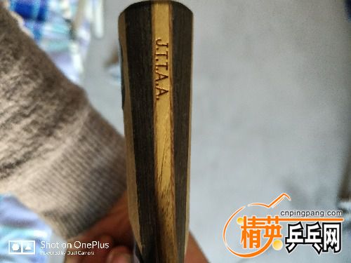 IMG_20171130_163303.jpg