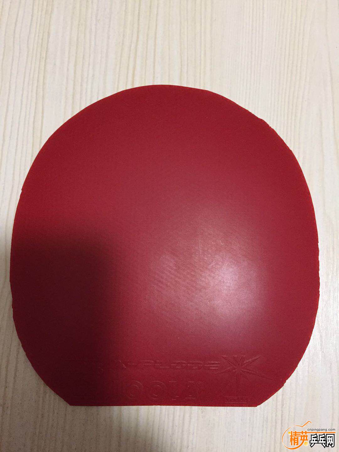 428557896907310536.jpg