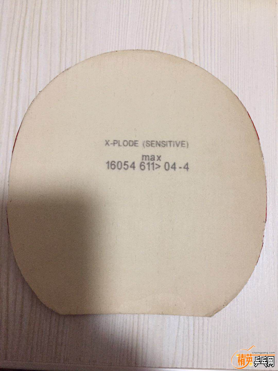 735533467211098138.jpg