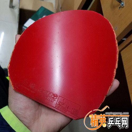 20171201_201006.jpg