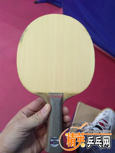 IMG_20171202_152314.jpg