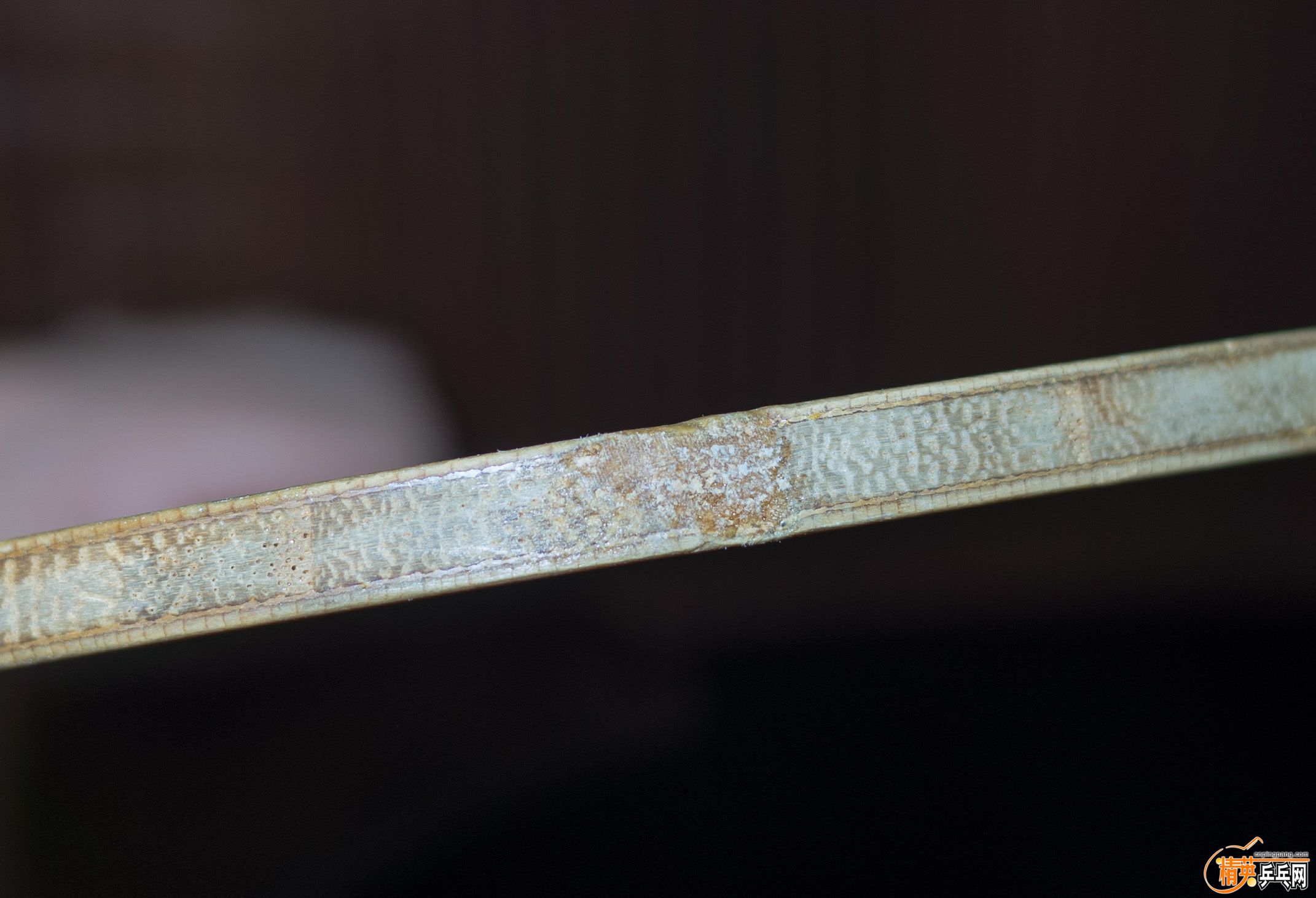 R0012443.jpg