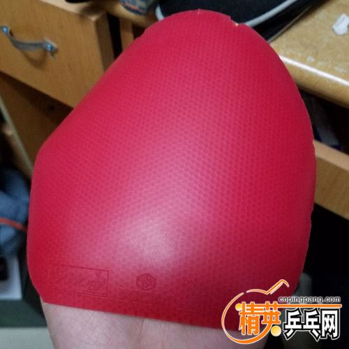 20171206_230524.jpg