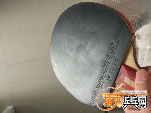 IMG_20171208_110407.jpg