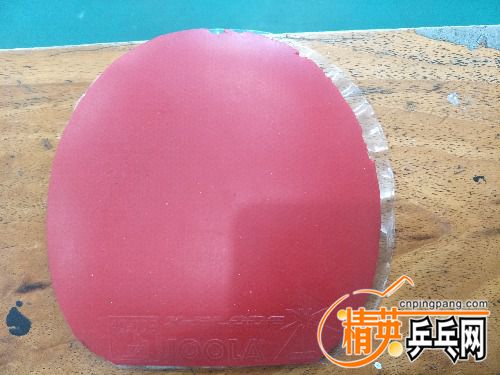 IMG20171211125414.jpg