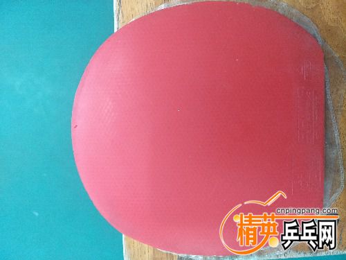 IMG20171211125521.jpg