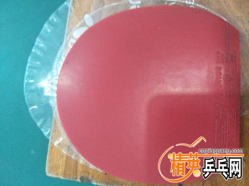 IMG20171211125637.jpg