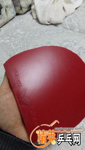 20171211_205402.jpg