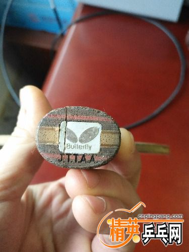 IMG_20171215_094944.jpg