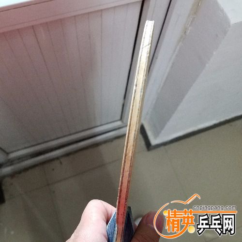 20171216_120805.jpg