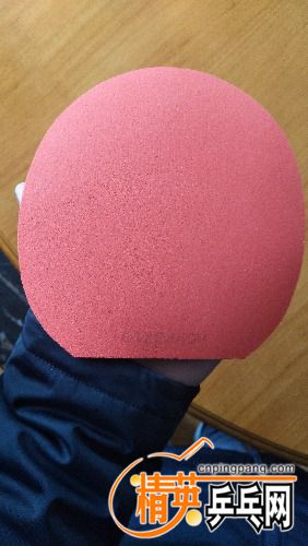 IMG_20171219_113221.jpg