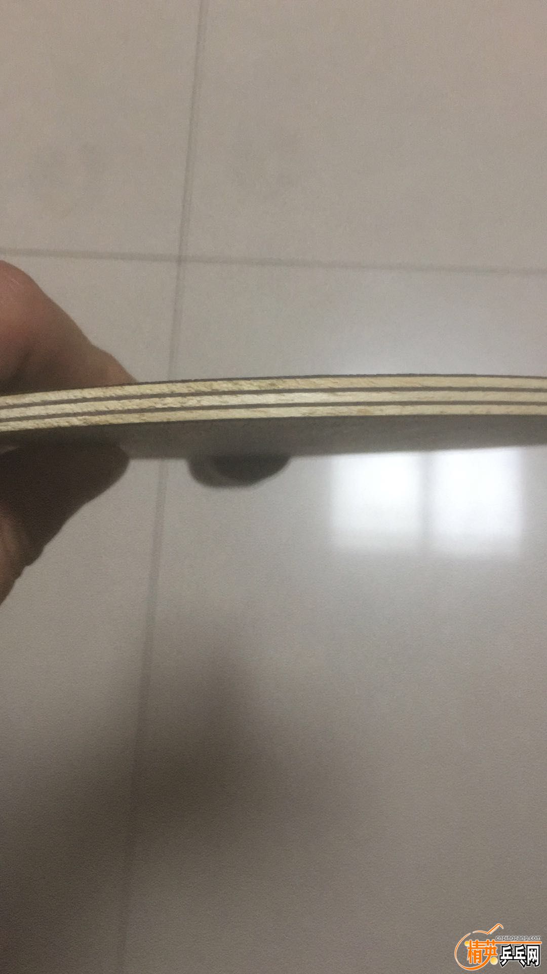 329012570545291509.jpg