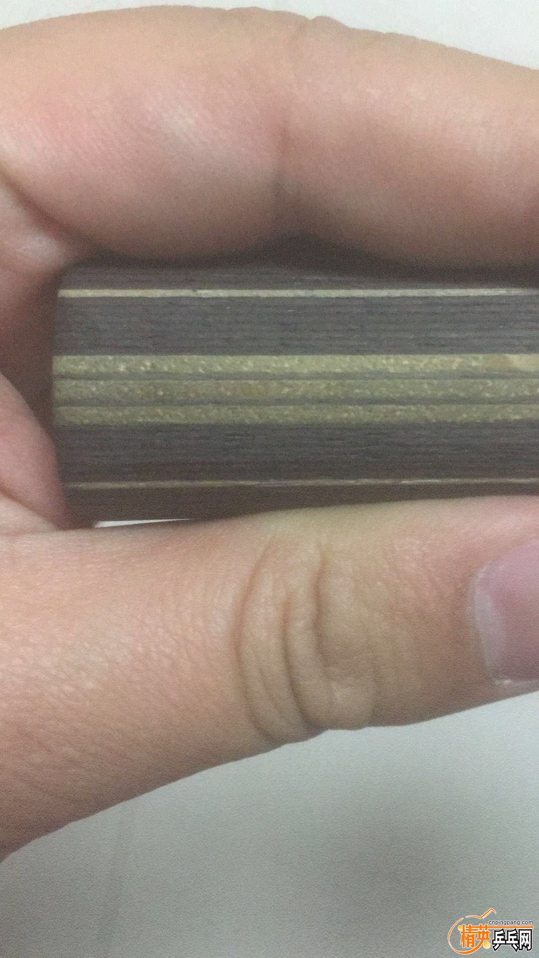 797492065965760977.jpg