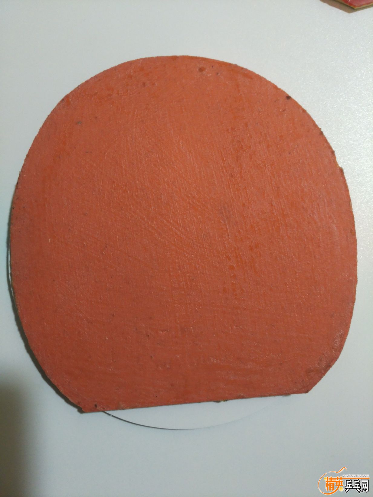 T05 (1).jpg