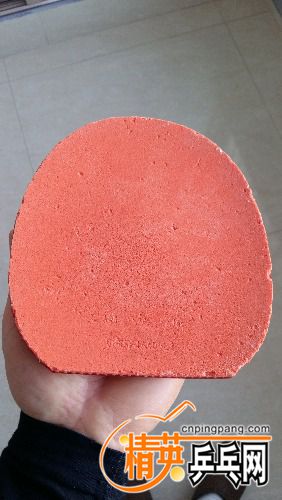 20171224_124821.jpg