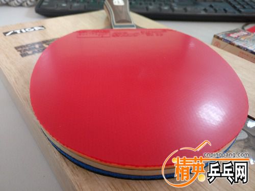 IMG_20171225_084933.jpg