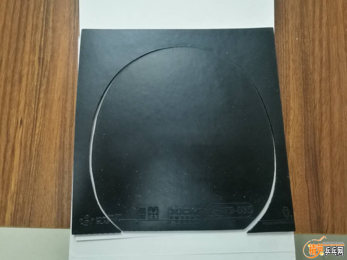 407293859305064112.jpg