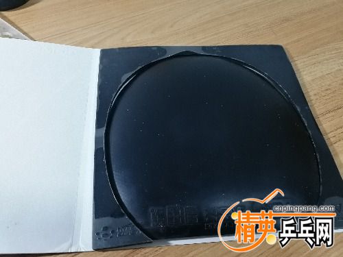 IMG_20171229_202531.jpg