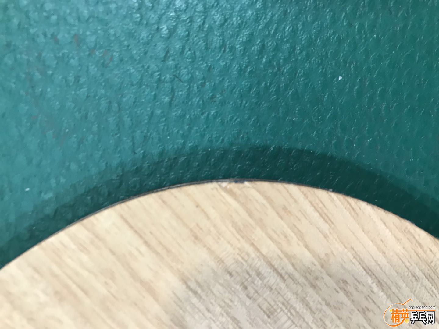 4268419582231478.jpg