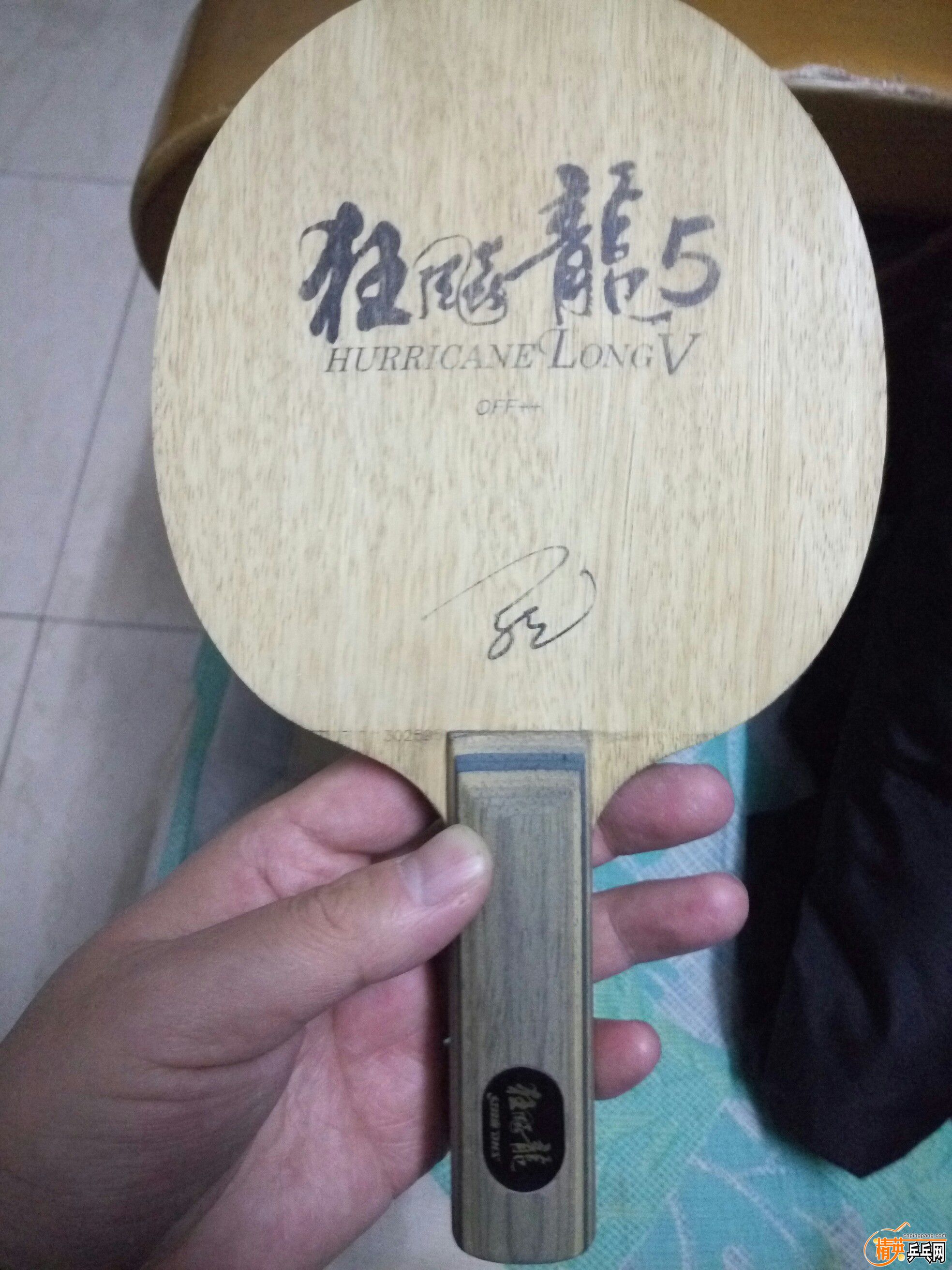 P80108-233434.jpg