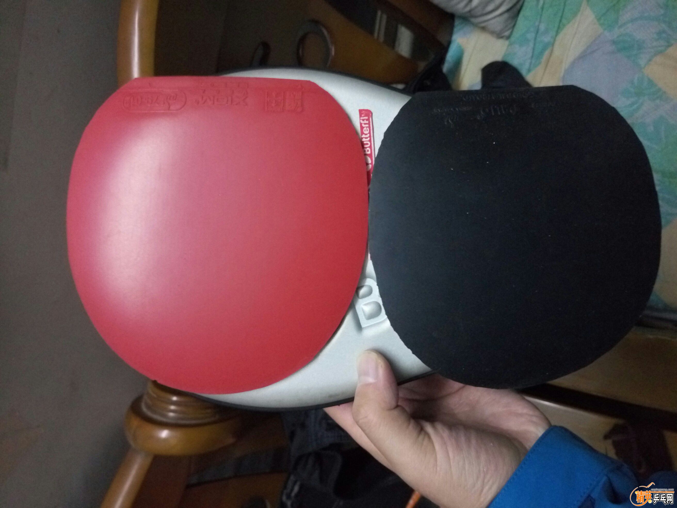 P80108-235039.jpg