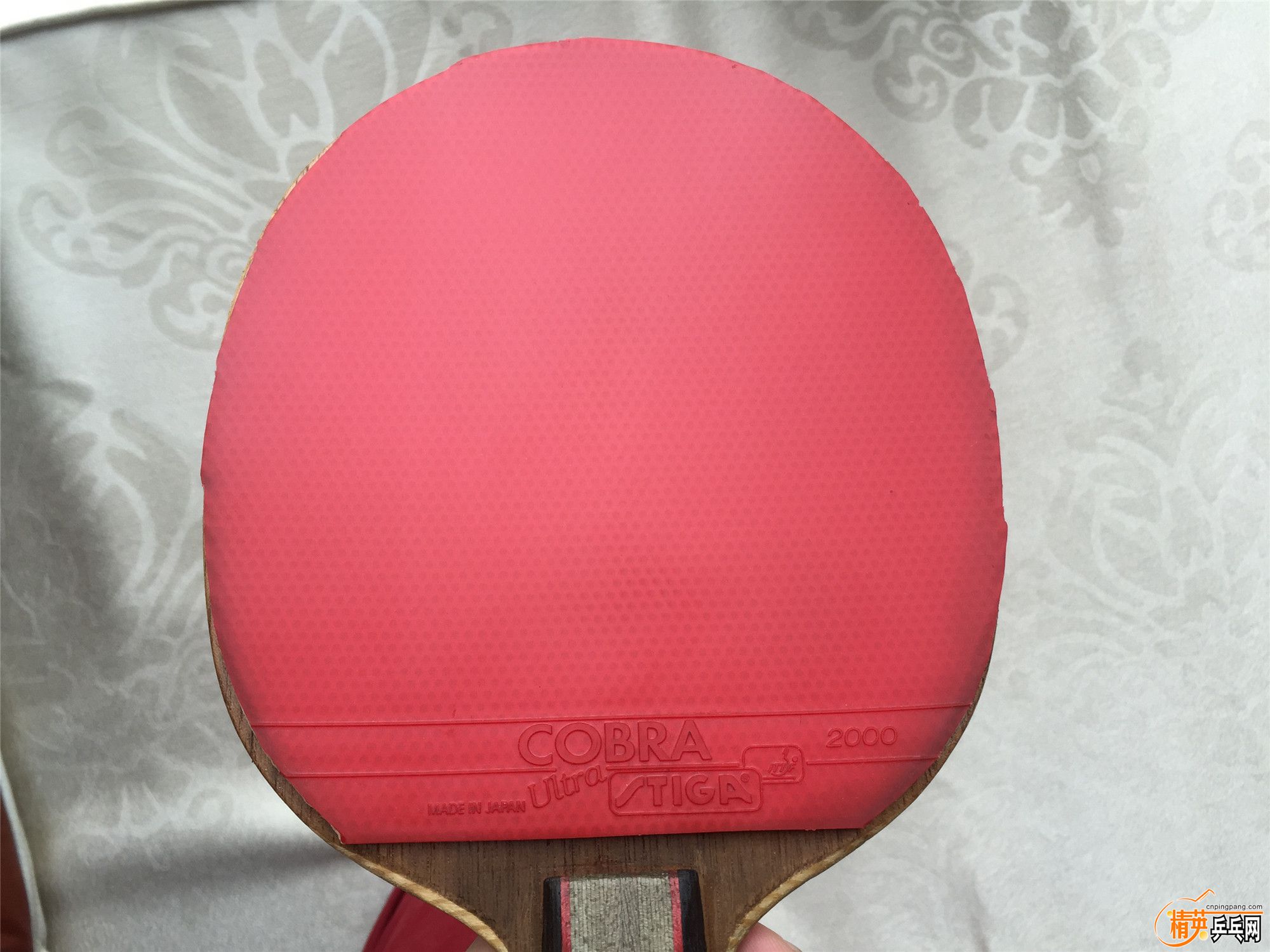 STIGA COBRA����.jpg